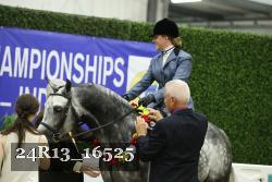 24R13_16525 thumbnail