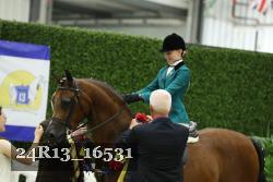 24R13_16531 thumbnail