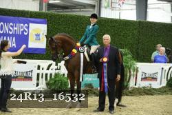 24R13_16532 thumbnail