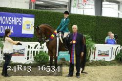 24R13_16534 thumbnail