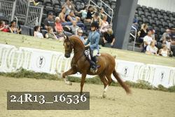 24R13_16536 thumbnail