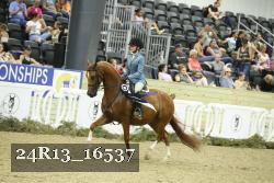 24R13_16537 thumbnail