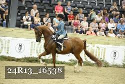 24R13_16538 thumbnail