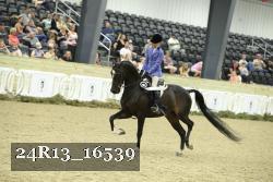24R13_16539 thumbnail