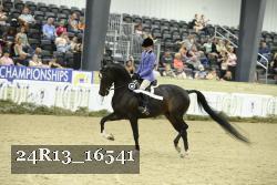 24R13_16541 thumbnail