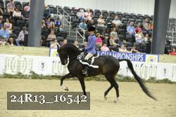 24R13_16542 thumbnail