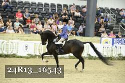 24R13_16543 thumbnail