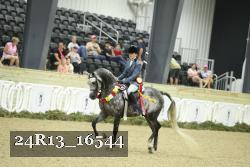 24R13_16544 thumbnail