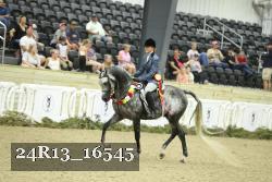 24R13_16545 thumbnail