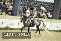 24R13_16546 thumbnail