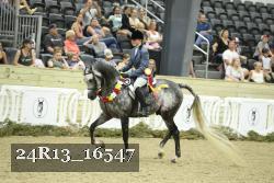 24R13_16547 thumbnail