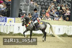 24R13_16548 thumbnail