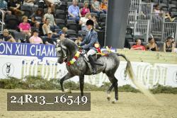 24R13_16549 thumbnail