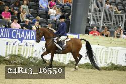 24R13_16550 thumbnail
