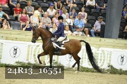 24R13_16551 thumbnail