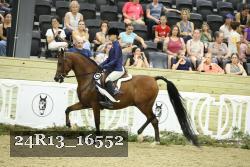 24R13_16552 thumbnail