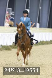 24R13_16554 thumbnail
