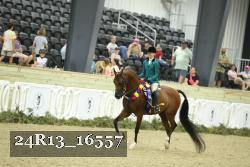 24R13_16557 thumbnail