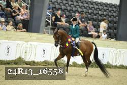 24R13_16558 thumbnail