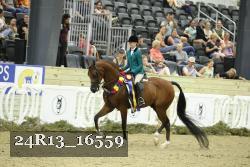 24R13_16559 thumbnail