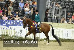 24R13_16560 thumbnail