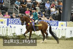 24R13_16561 thumbnail