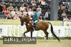 24R13_16566 thumbnail