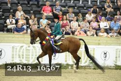24R13_16567 thumbnail