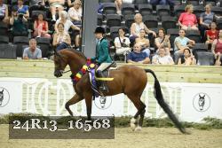 24R13_16568 thumbnail
