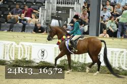 24R13_16572 thumbnail