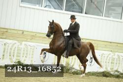 24R13_16852 thumbnail