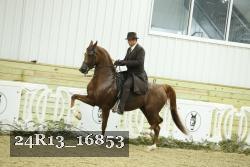 24R13_16853 thumbnail
