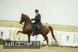 24R13_16854 thumbnail