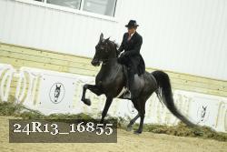 24R13_16855 thumbnail