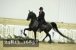 24R13_16857 thumbnail
