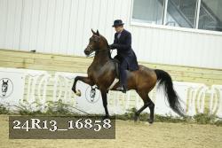24R13_16858 thumbnail