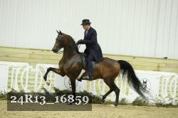 24R13_16859 thumbnail