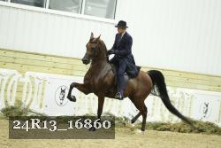 24R13_16860 thumbnail