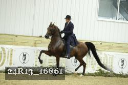 24R13_16861 thumbnail