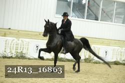 24R13_16863 thumbnail