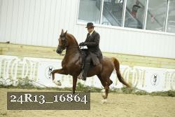 24R13_16864 thumbnail