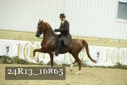 24R13_16865 thumbnail