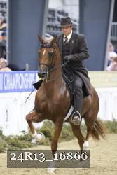 24R13_16866 thumbnail