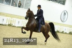 24R13_16867 thumbnail