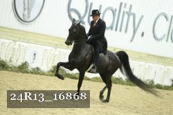 24R13_16868 thumbnail