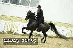24R13_16869 thumbnail