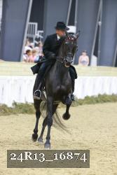 24R13_16874 thumbnail