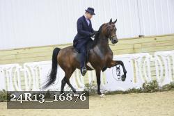 24R13_16876 thumbnail
