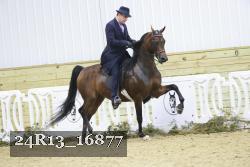 24R13_16877 thumbnail
