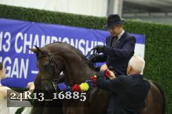 24R13_16885 thumbnail